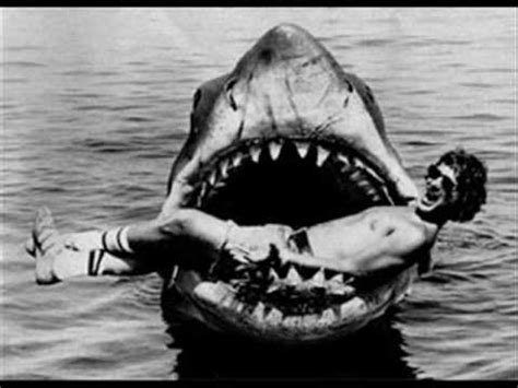Megalodon Still Alive? - YouTube