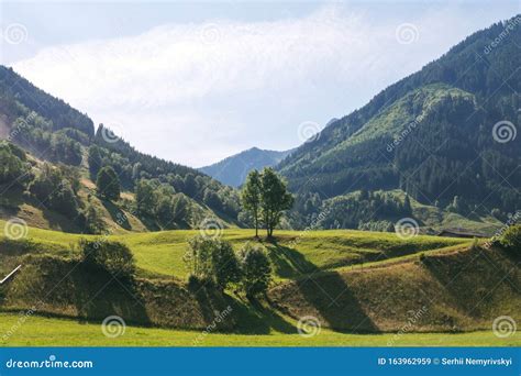 Panoramic View Of Idyllic Mountain Scenery In The Alps With Tree In