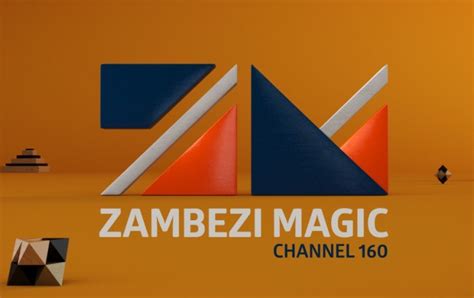 Zambezi Magic To Screen Zim Videos Newsday Zimbabwe