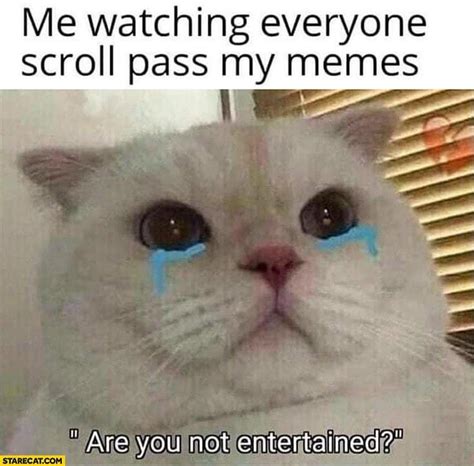 We have an extensive collection of amazing background images carefully chosen by our community. The Very Best Crying Cat Memes | Plus Sad Cat Meaning ...