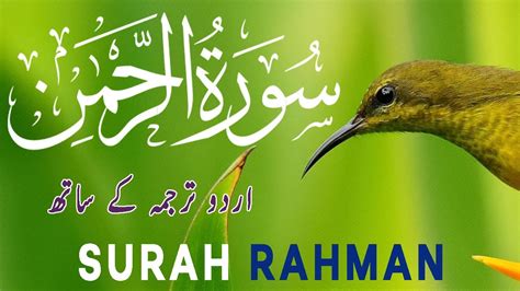 Surah Ar Rahman Qari Taoufik Ben Shaaban Beautiful Recitation