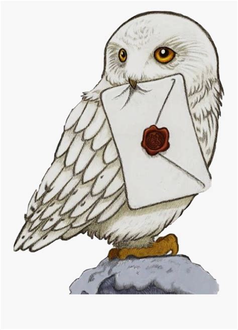 Download the free graphic resources in the form of png. #hedwig #owl #harrysowl #harrypotter #rip #freetoedit ...