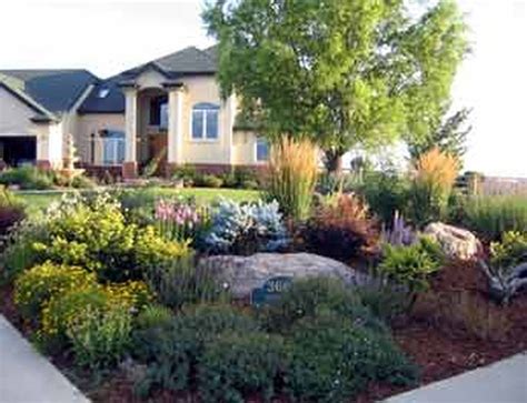 Xeriscape Front Yard Yard Landscaping Xeriscape