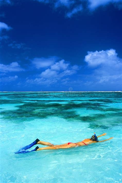 Dive Couple Stock Photo Image Of Sports Tahiti Beach 10370160