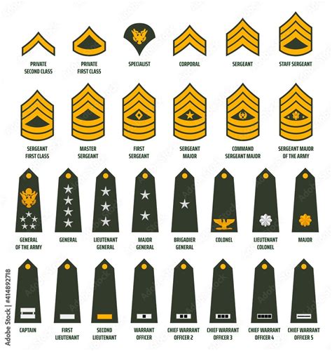 US Army Enlisted Ranks Chevrons And Insignia America Military Service