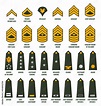 US army enlisted ranks chevrons and insignia. America military service ...