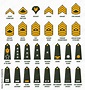 US army enlisted ranks chevrons and insignia. America military service ...