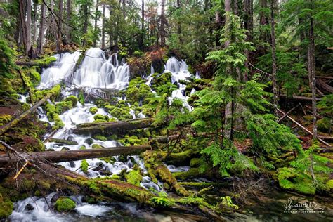 Clearwater Falls Umpqua National Forest Oregon Cascades Oregon