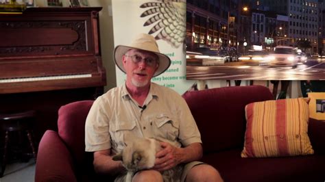 Other animals can't get in. Indoor vs. Outdoor Cats? | Keeping Your Cat Happy Indoors ...