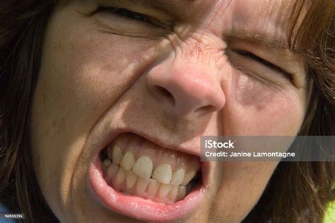 Gritting Teeth Stock Photo Download Image Now Close Up Snarling