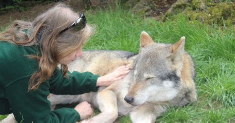Pictures Show Special Bond Between Paradise Wildlife Park Keepers And