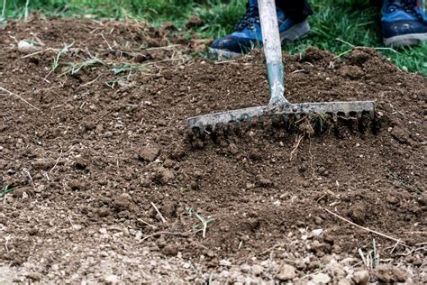 Maybe you would like to learn more about one of these? Leveling an Existing Yard - Here's How to Level a Yard ...