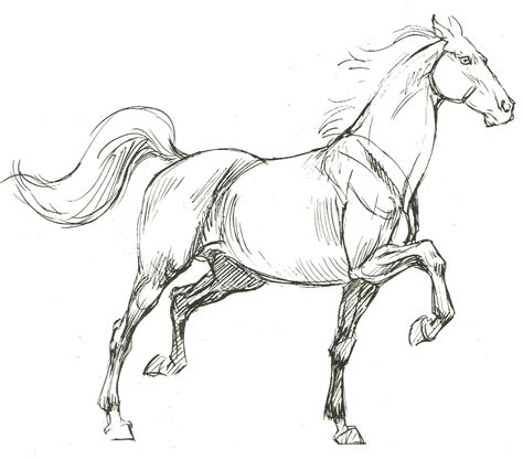 Horse Drawings Horse Sketch Animal Drawings