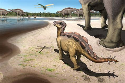 Tiptoe Through The Cretaceous Baby Dino Footprint Shows Toe Walking