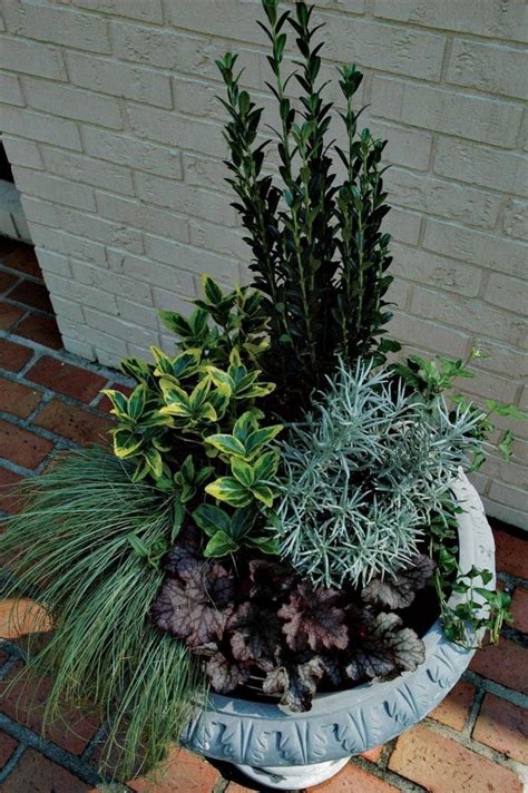 35 Beautiful Winter Container Garden For Porch Winter Container
