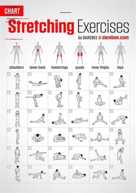 25 Exercices Détirement Exercices Stretching Exercice