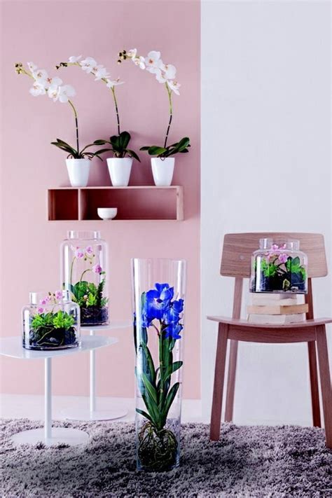 Planting a magnolia tree in your backyard is believed to encourage increased wealth. Feng Shui plants for harmony and positive energy in the ...