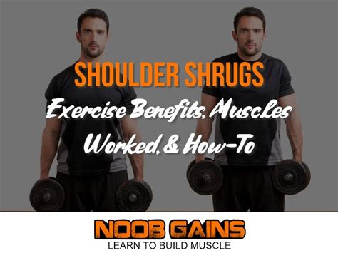 Shoulder Shrugs Exercise Benefits Muscles Worked And How To Fitness 24