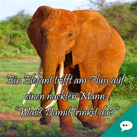 Allerdings ist das deutsche keine einheitliche sprache. Deutsche Sprüche XXL