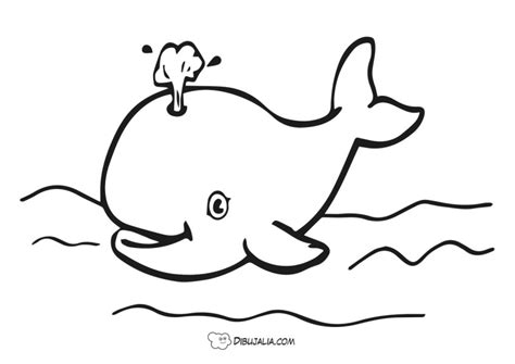 Ballena En El Mar Dibujo Dibujalia Dibujos Para Colorear Y