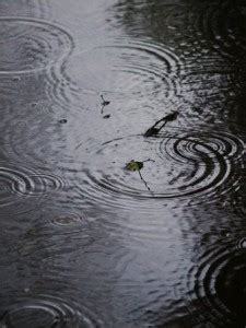 It has been a tough year for all of us and lluvia would not have make it through without you. ¿A qué huele la lluvia? | El Tiempo en Valencia