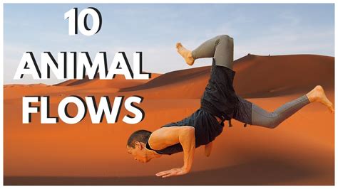 10 Awesome Animal Movement Exercises You Can Use In Training Timlowpt