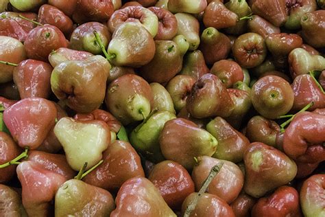 But now it is time to see some fruits you have most probably never heard of let alone seen or tasted. Enjoying the Exotic Fruits in Hawaii - Panda Travel