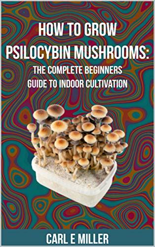 How To Grow Psilocybin Mushrooms The Complete Beginners Guide To