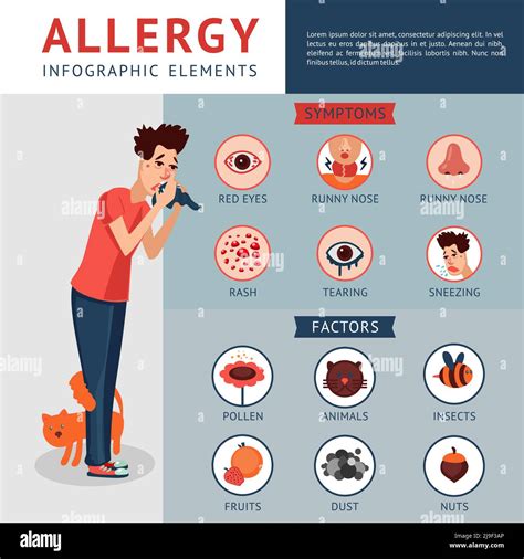Allergy Infographic Concept With Sick Man Holding Handkerchief Symptoms
