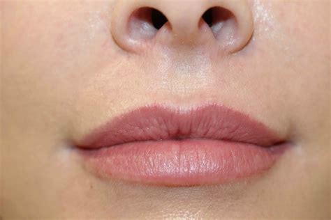 Semi Permanent Makeup Lip Liner Saubhaya Makeup