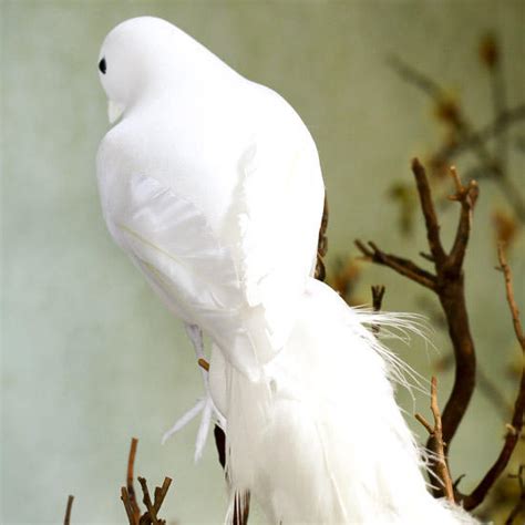 White Flocked Artificial Dove Birds Butterflies Birds Nests