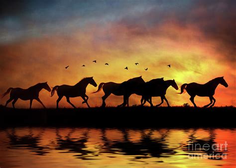 Wild Horses In Sunset And Water Photograph By Stephanie Laird