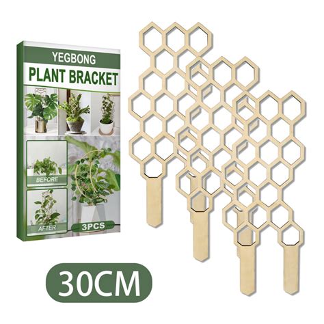 3 Pack Small Trellis For Potted Plants Plants Trellis Starter Holder
