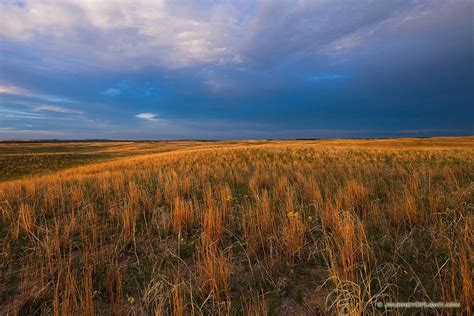 Sandhills, Dark Clouds, Scenic Landscape, National Forest, Wildlife