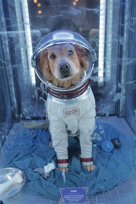 Meet Cosmo The Spacedog From Disneylands Guardians Of The Galaxy Ride