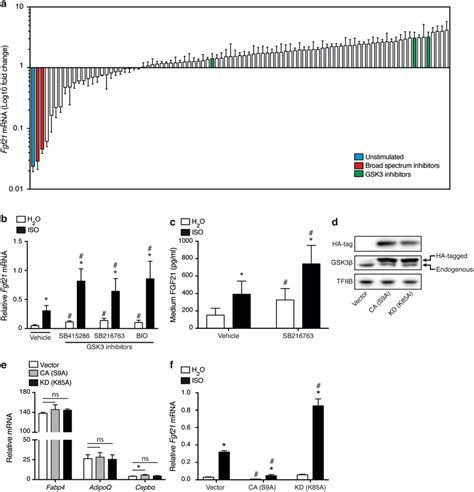 Gsk3 Is A Negative Regulator Of Fgf21 Expression And Secretion In Brown