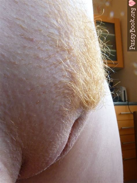 Close Up Vulva Shaved Labia Blonde Pubes Pussy Pictures Asses