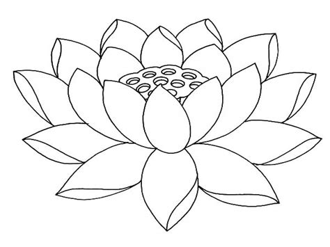Lotus Coloring Page Coloring Pages