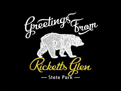 Ricketts Glen State Park Bear Digital Art By Flo Karp Fine Art America