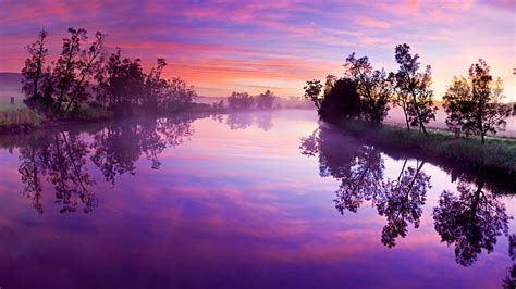 Purple Cloudy Sky Above Lake With Trees Reflection 4k 8k
