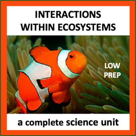 Interactions Within Ecosystems Ecosystems Science Units Interactive