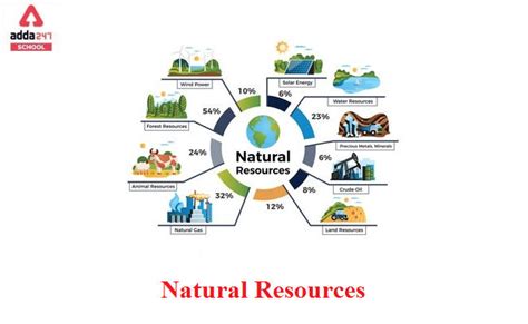 Types Of Natural Resources Examples And Definition
