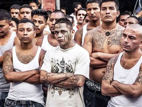 Top 10 Most Dangerous Gangs In The World 2023 Pickytop