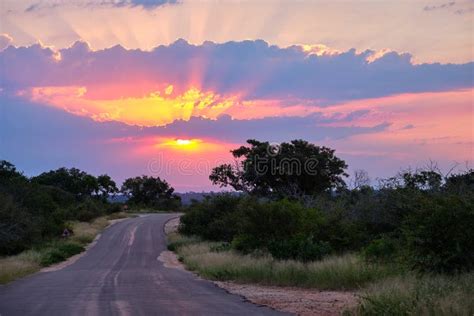 Sunset On Savanna Stock Image Image Of Trees Reflection 143507877