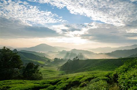 Malaysia is a member of the commonwealth of nations with an average 20,376,235 people living in; Best Pahang State Stock Photos, Pictures & Royalty-Free ...
