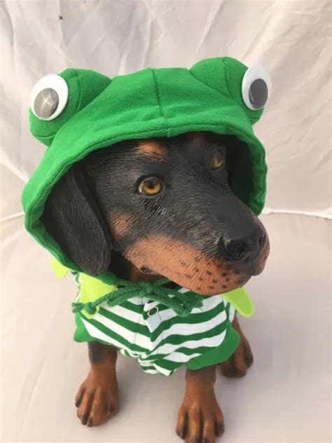 Frog Dog Costume Rockstar Puppy Boutique