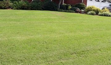 New customer offer, 1st lawn application just $29.95. Chesapeake, VA Lawn Care Service | Lawn Mowing from $19 ...