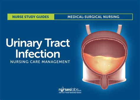 Urinary Tract Infection Nursing Care And Management Study Guide