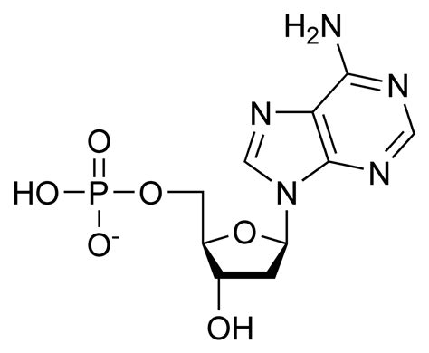 Nitrogenous base, phosphate.watch the next lesson. Nucleotide - Wikipedia