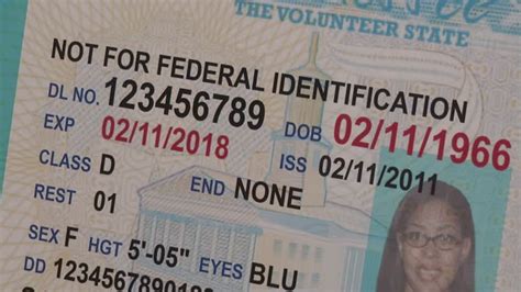 Tennessee Real Id Drivers Licenses Wdef